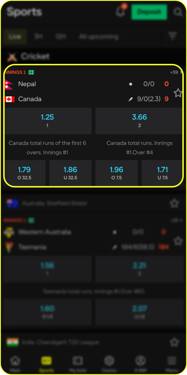 Choose your market for the upcoming cricket match at Parimatch.