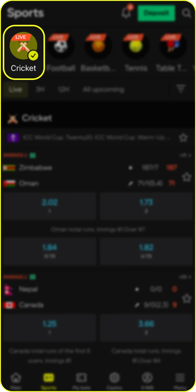 Select the cricket section from the sportsbook menu at Parimatch.
