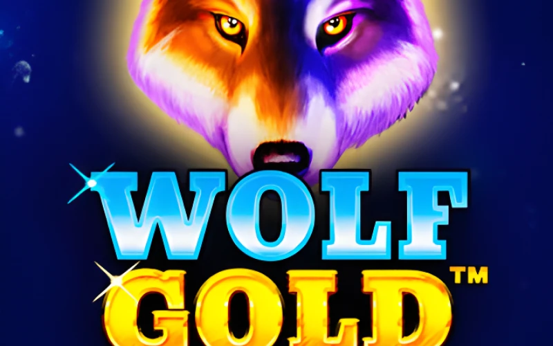 Spin the Wolf Gold slot to win big jackpots at Parimatch.